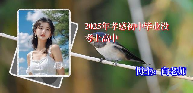 2025年孝感初中毕业没考上高中