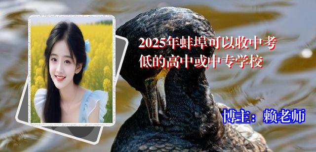 2025年蚌埠可以收中考低的高中或中专学校
