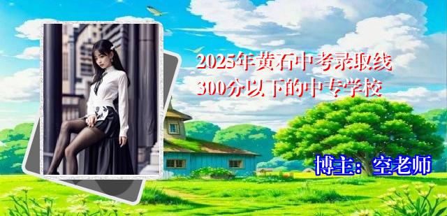 2025年黄石中考录取线300分以下的中专学校