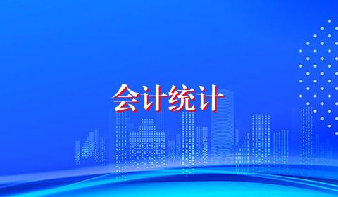 会计统计
