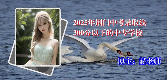 2025年荆门中考录取线300分以下的中专学校