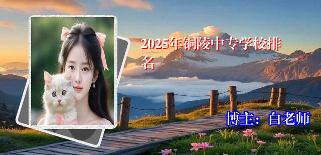 2025年铜陵中专学校排名
