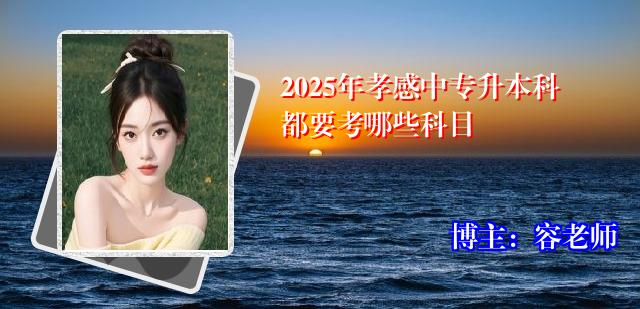 2025年孝感中专升本科都要考哪些科目