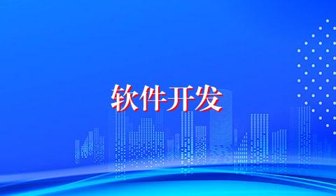 软件开发