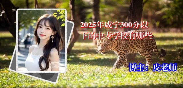 2025年咸宁300分以下的中专学校有哪些
