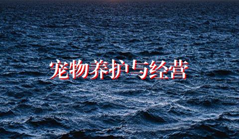 宠物养护与经营
