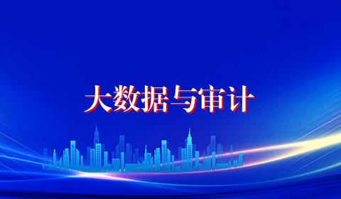 大数据与审计