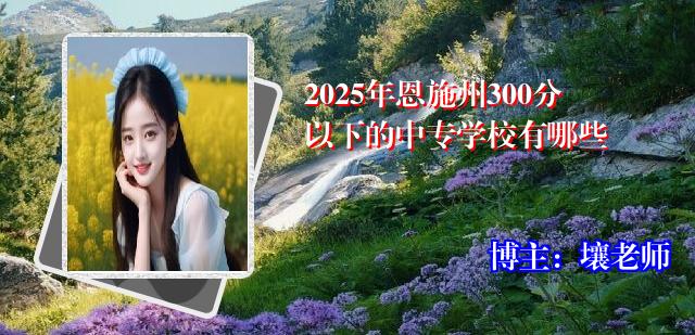 2025年恩施州300分以下的中专学校有哪些