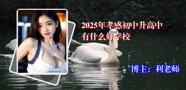 2025年孝感初中升高中有什么好学校