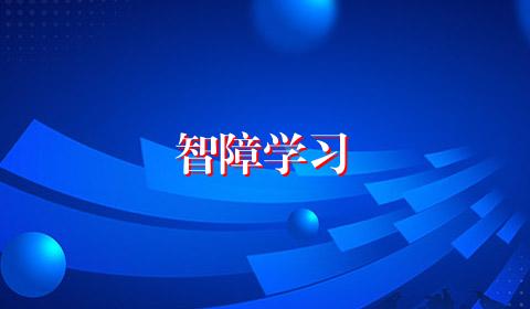 智障学习