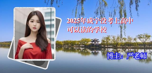 2025年咸宁没考上高中可以读的学校