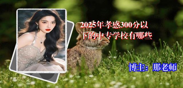 2025年孝感300分以下的中专学校有哪些