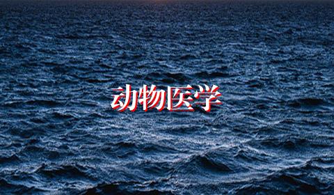动物医学