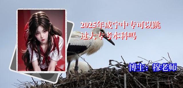 2025年咸宁中专可以跳过大专考本科吗