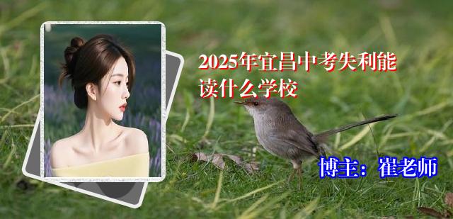 2025年宜昌中考失利能读什么学校