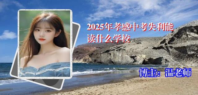 2025年孝感中考失利能读什么学校