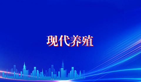 现代养殖