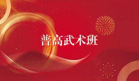 普高武术班