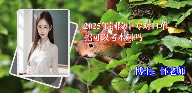 2025年铜陵中专对口单招可以考本科吗