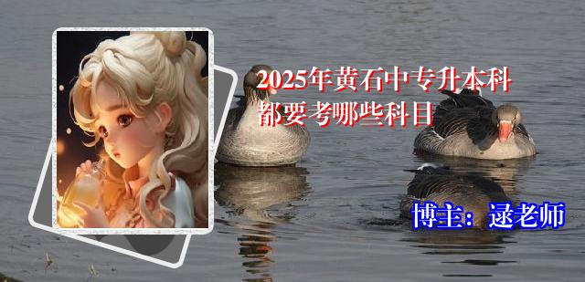 2025年黄石中专升本科都要考哪些科目