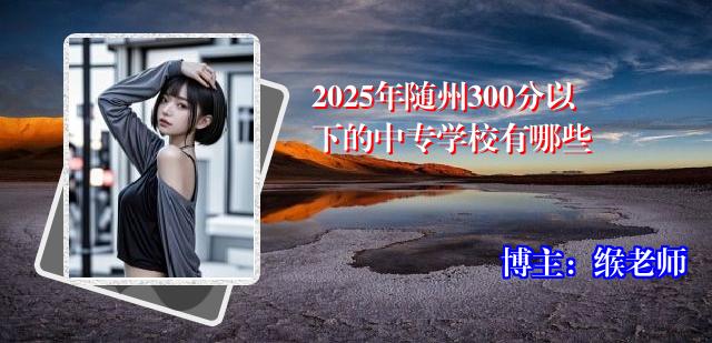 2025年随州300分以下的中专学校有哪些
