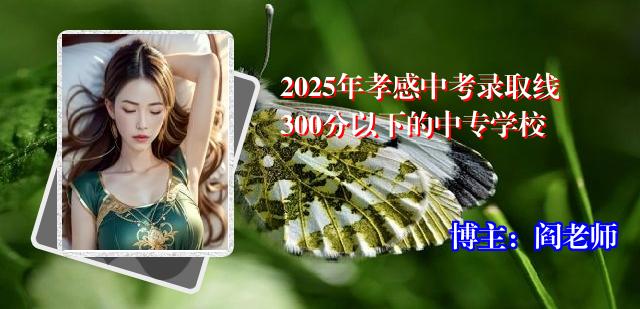 2025年孝感中考录取线300分以下的中专学校