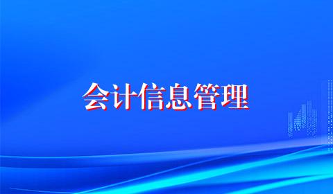 会计信息管理