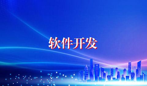 软件开发