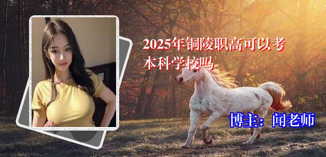 2025年铜陵职高可以考本科学校吗