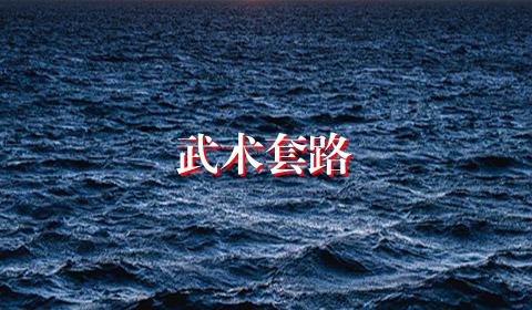 武术套路