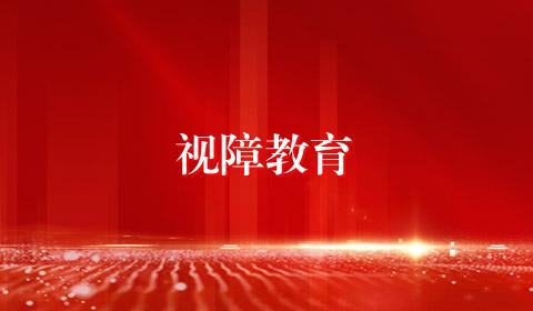 视障教育