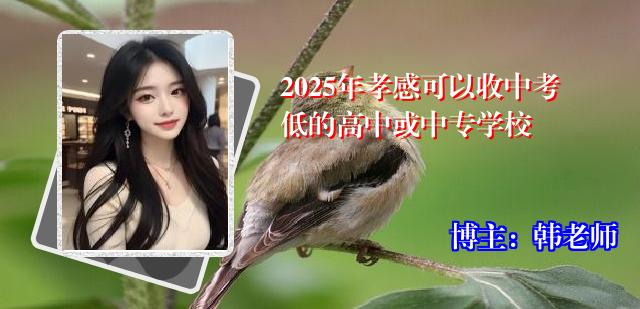 2025年孝感可以收中考低的高中或中专学校