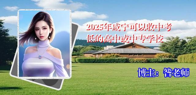 2025年咸宁可以收中考低的高中或中专学校