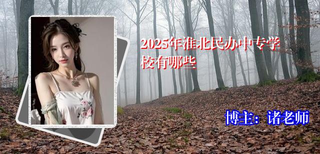 2025年淮北民办中专学校有哪些