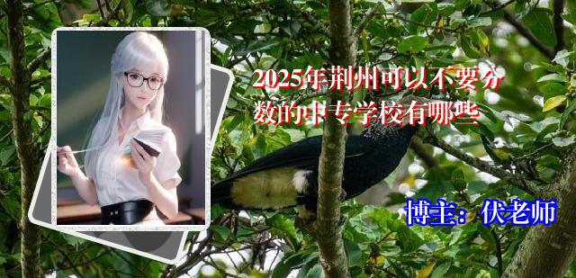 2025年荆州可以不要分数的中专学校有哪些