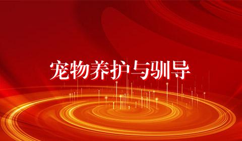 宠物养护与驯导