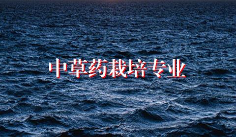 中草药栽培专业