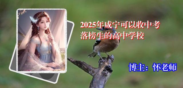 2025年咸宁可以收中考落榜生的高中学校