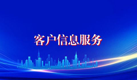客户信息服务