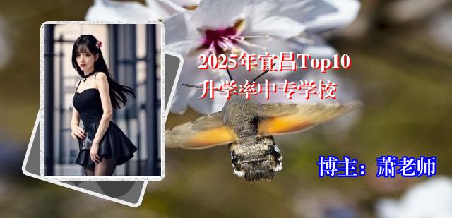 2025年宜昌Top10升学率中专学校
