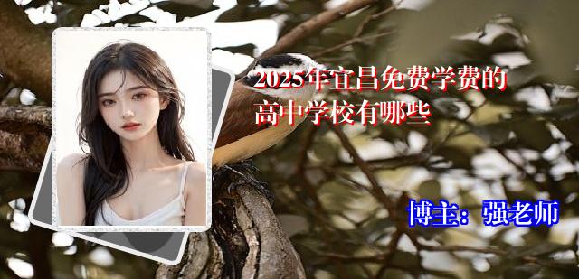 2025年宜昌免费学费的高中学校有哪些
