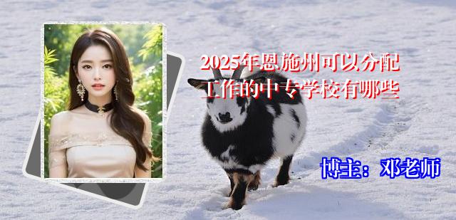 2025年恩施州可以分配工作的中专学校有哪些