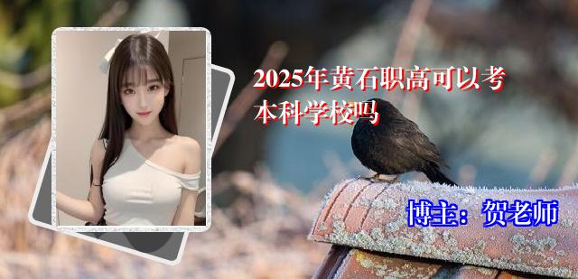 2025年黄石职高可以考本科学校吗