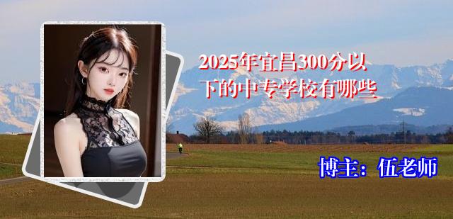 2025年宜昌300分以下的中专学校有哪些