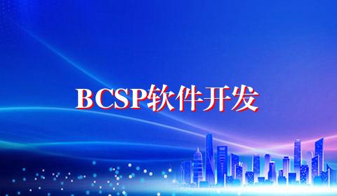 BCSP软件开发