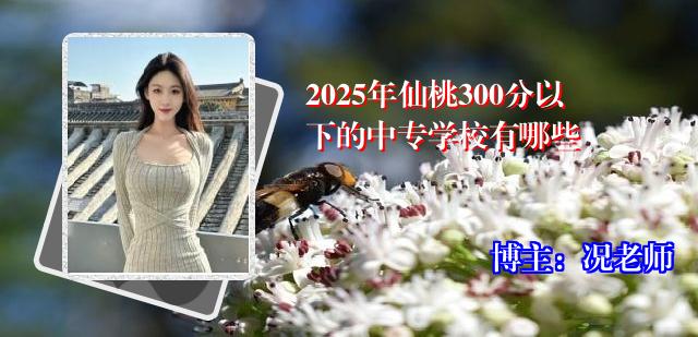 2025年仙桃300分以下的中专学校有哪些