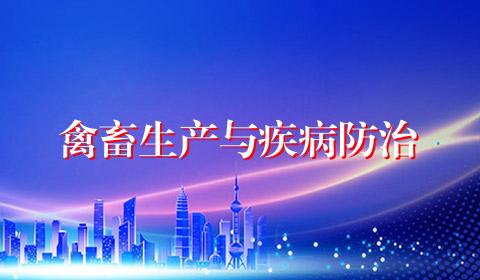 禽畜生产与疾病防治