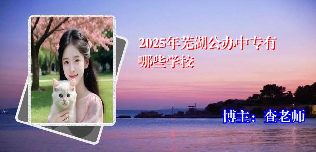 2025年芜湖公办中专有哪些学校