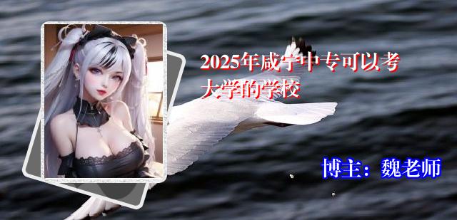 2025年咸宁中专可以考大学的学校