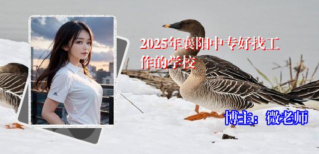 2025年襄阳中专好找工作的学校